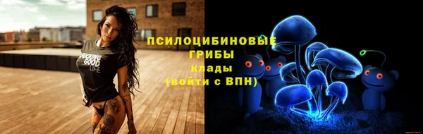 гидропоника Алзамай