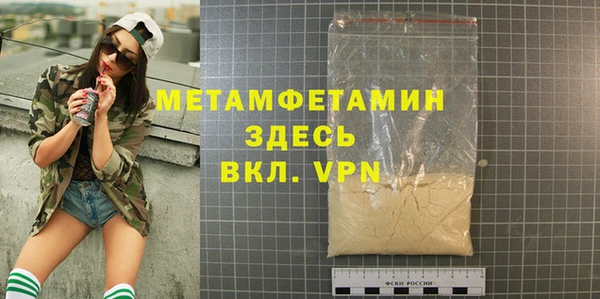 индика Ельня